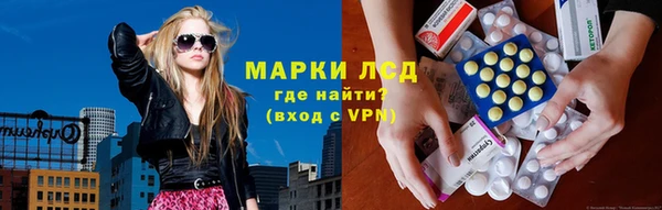 тгк Инсар