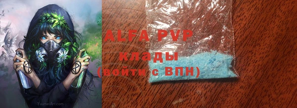 тгк Инсар