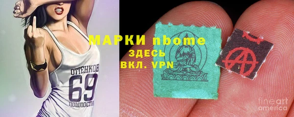 тгк Инсар