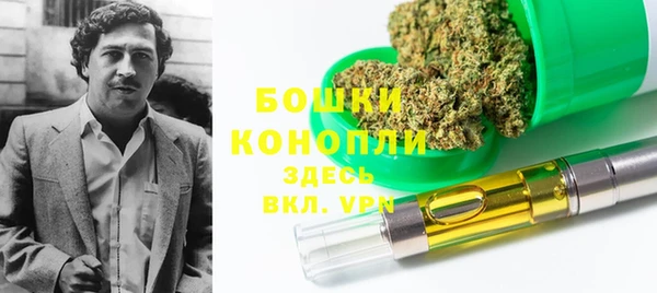 тгк Инсар