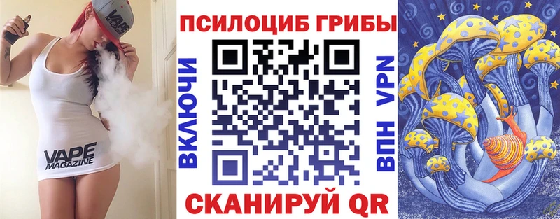 Купить где  Мичуринск  Псилоцибиновые грибы мицелий 